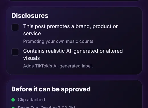 Disclosure checkboxes for promotional content and AI-generated visuals
